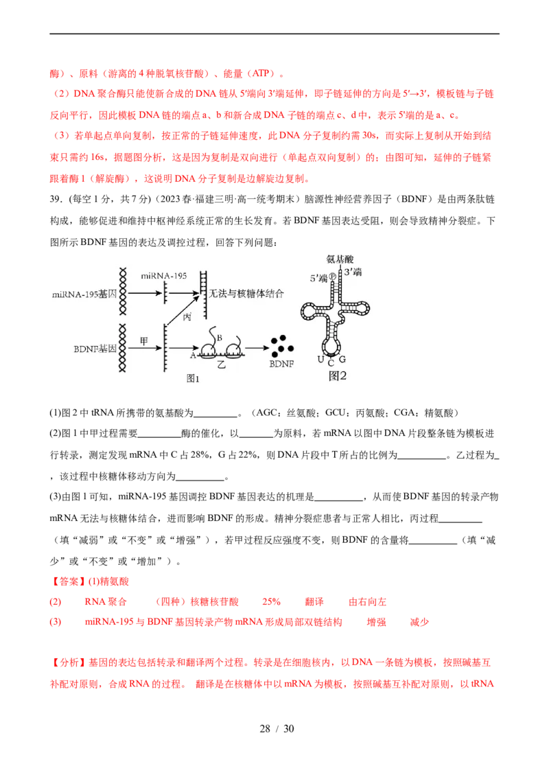 第六单元遗传的物质基础（测试）（解析版）_新高考复习资料_2024年新高考复习资料_一轮复习资料_完2024年高考生物一轮复习讲练测(课件+讲义+练习)（新高考）_单元测试