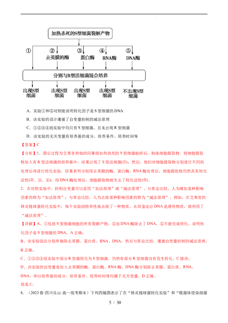 第六单元遗传的物质基础（测试）（解析版）_新高考复习资料_2024年新高考复习资料_一轮复习资料_完2024年高考生物一轮复习讲练测(课件+讲义+练习)（新高考）_单元测试