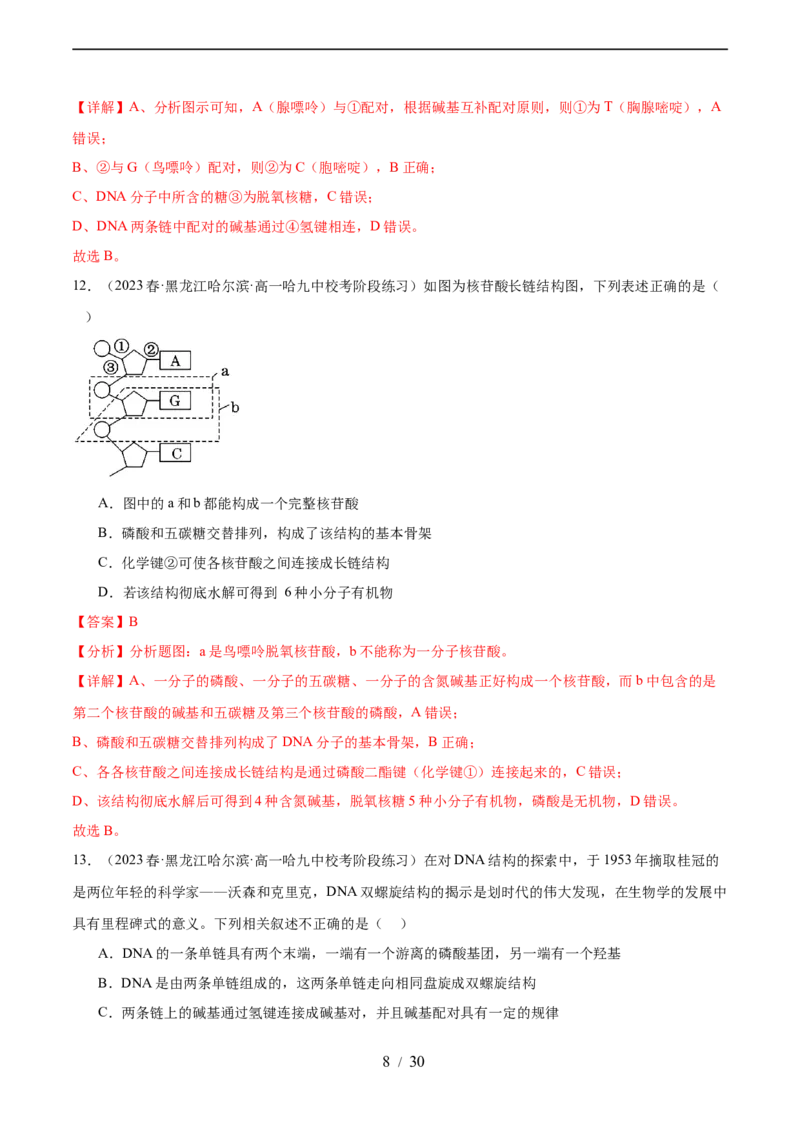 第六单元遗传的物质基础（测试）（解析版）_新高考复习资料_2024年新高考复习资料_一轮复习资料_完2024年高考生物一轮复习讲练测(课件+讲义+练习)（新高考）_单元测试