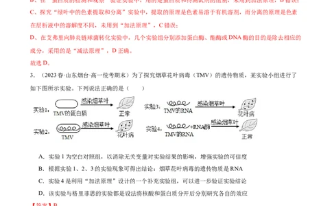 第六单元遗传的物质基础（测试）（解析版）_新高考复习资料_2024年新高考复习资料_一轮复习资料_完2024年高考生物一轮复习讲练测(课件+讲义+练习)（新高考）_单元测试