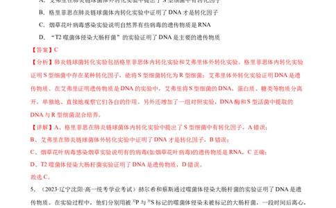 第六单元遗传的物质基础（测试）（解析版）_新高考复习资料_2024年新高考复习资料_一轮复习资料_完2024年高考生物一轮复习讲练测(课件+讲义+练习)（新高考）_单元测试