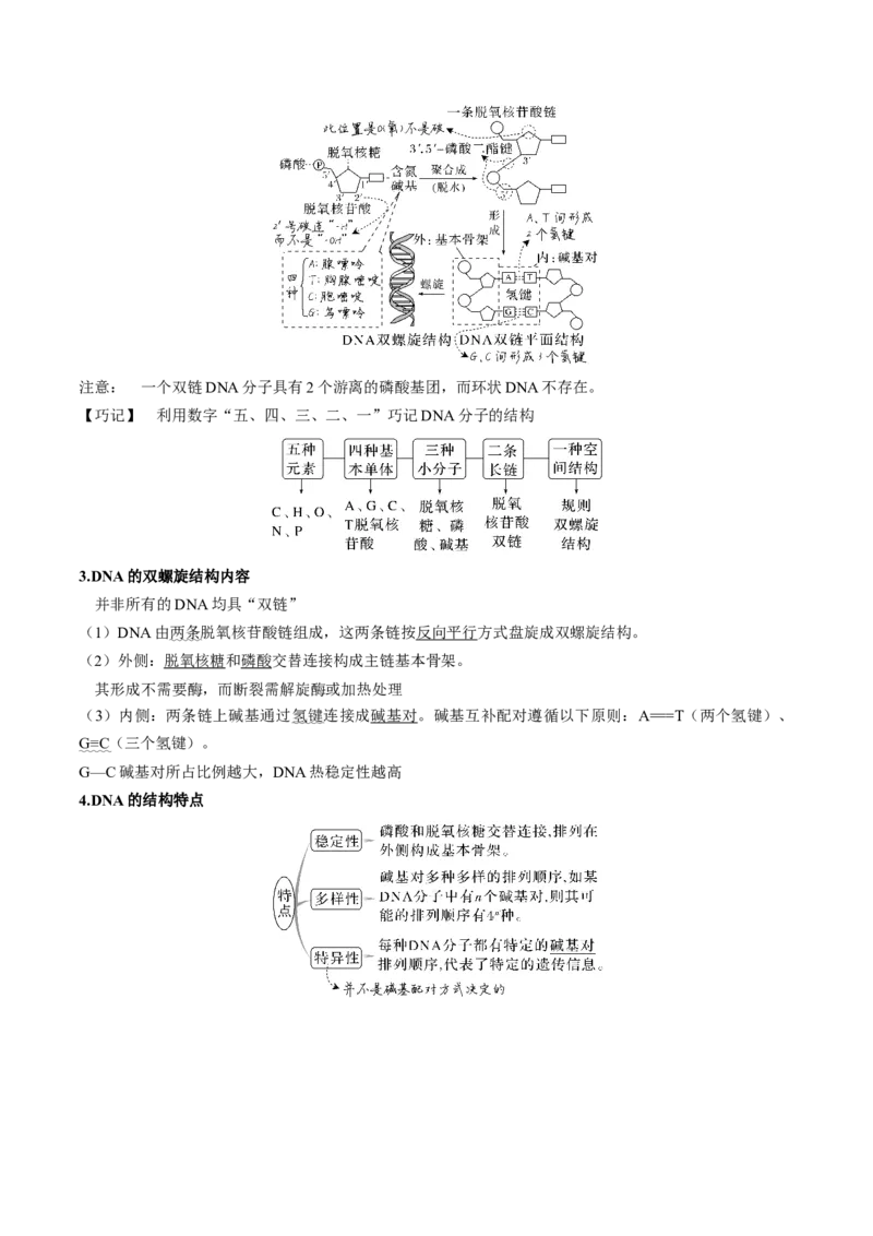 考向12基因的本质-备战2023年高考生物一轮复习考点微专题（全国通用）（解析版）(1)_通用版（老高考）复习资料_2023年复习资料_一轮复习