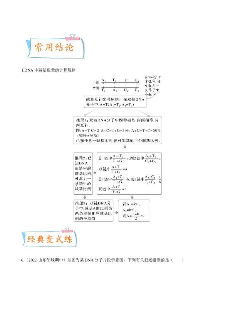 考向12基因的本质-备战2023年高考生物一轮复习考点微专题（全国通用）（解析版）(1)_通用版（老高考）复习资料_2023年复习资料_一轮复习