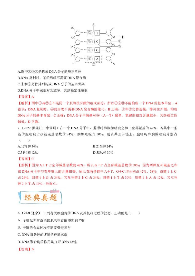 考向12基因的本质-备战2023年高考生物一轮复习考点微专题（全国通用）（解析版）(1)_通用版（老高考）复习资料_2023年复习资料_一轮复习