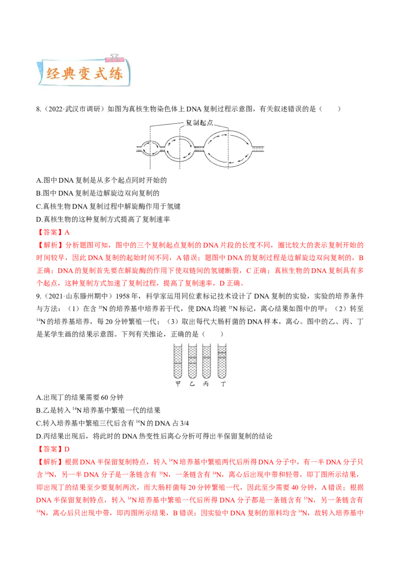 考向12基因的本质-备战2023年高考生物一轮复习考点微专题（全国通用）（解析版）(1)_通用版（老高考）复习资料_2023年复习资料_一轮复习