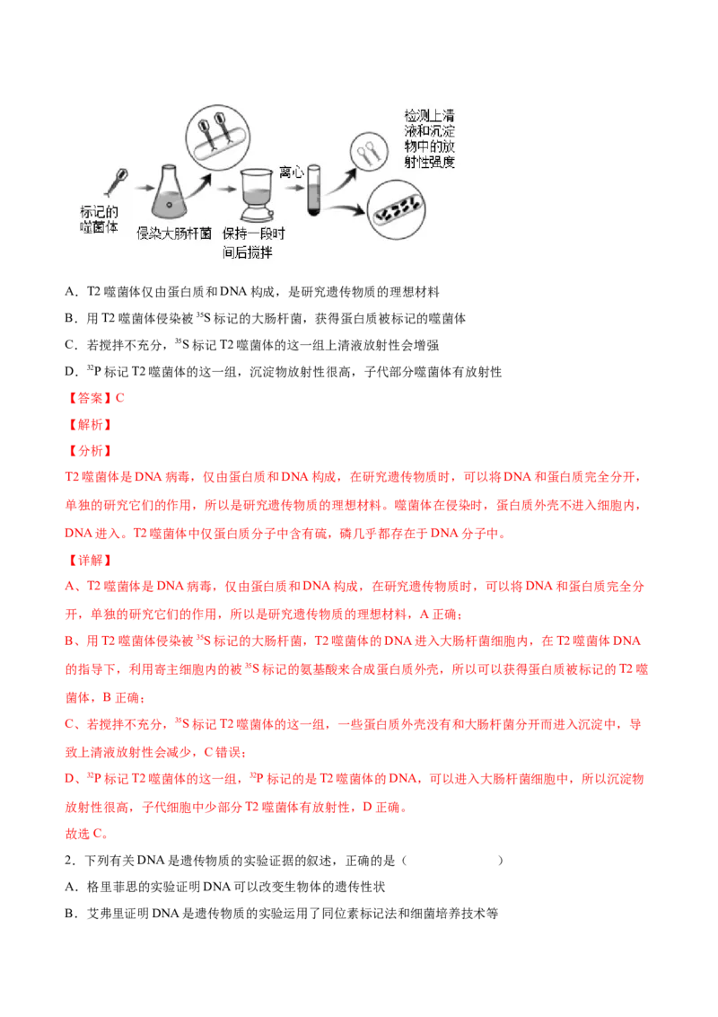 考向12基因的本质-备战2023年高考生物一轮复习考点微专题（全国通用）（解析版）(1)_通用版（老高考）复习资料_2023年复习资料_一轮复习
