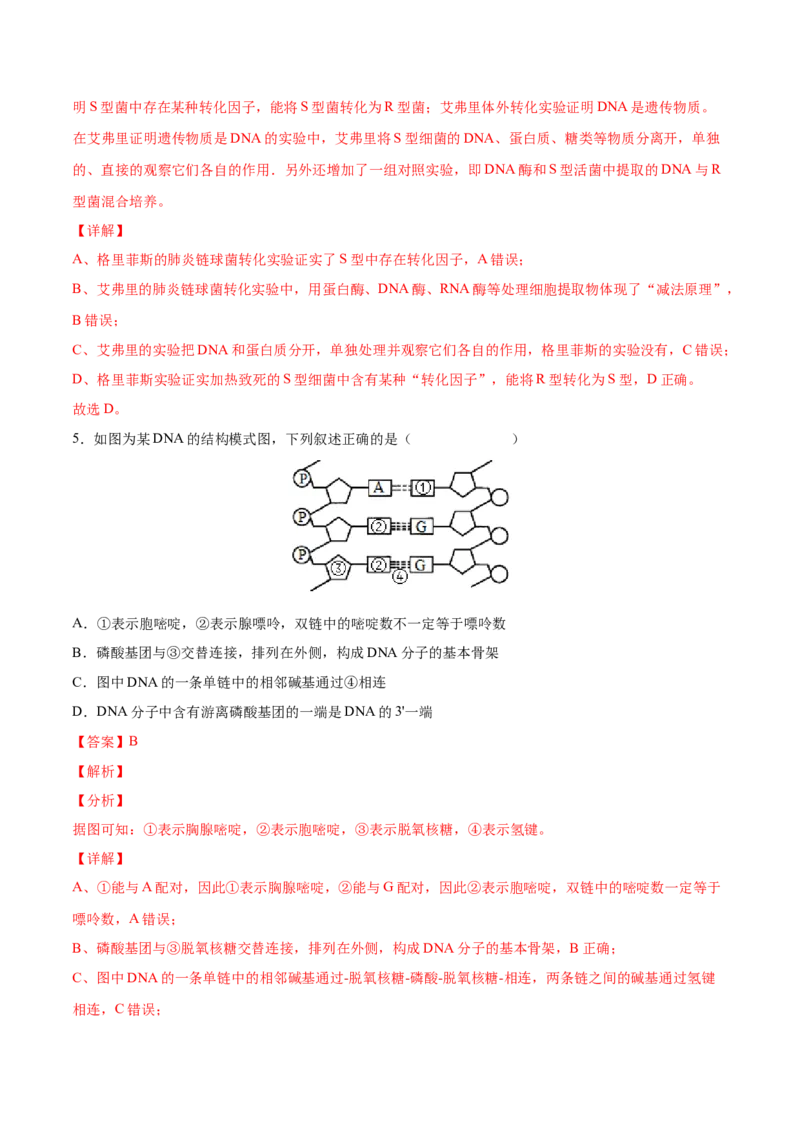 考向12基因的本质-备战2023年高考生物一轮复习考点微专题（全国通用）（解析版）(1)_通用版（老高考）复习资料_2023年复习资料_一轮复习
