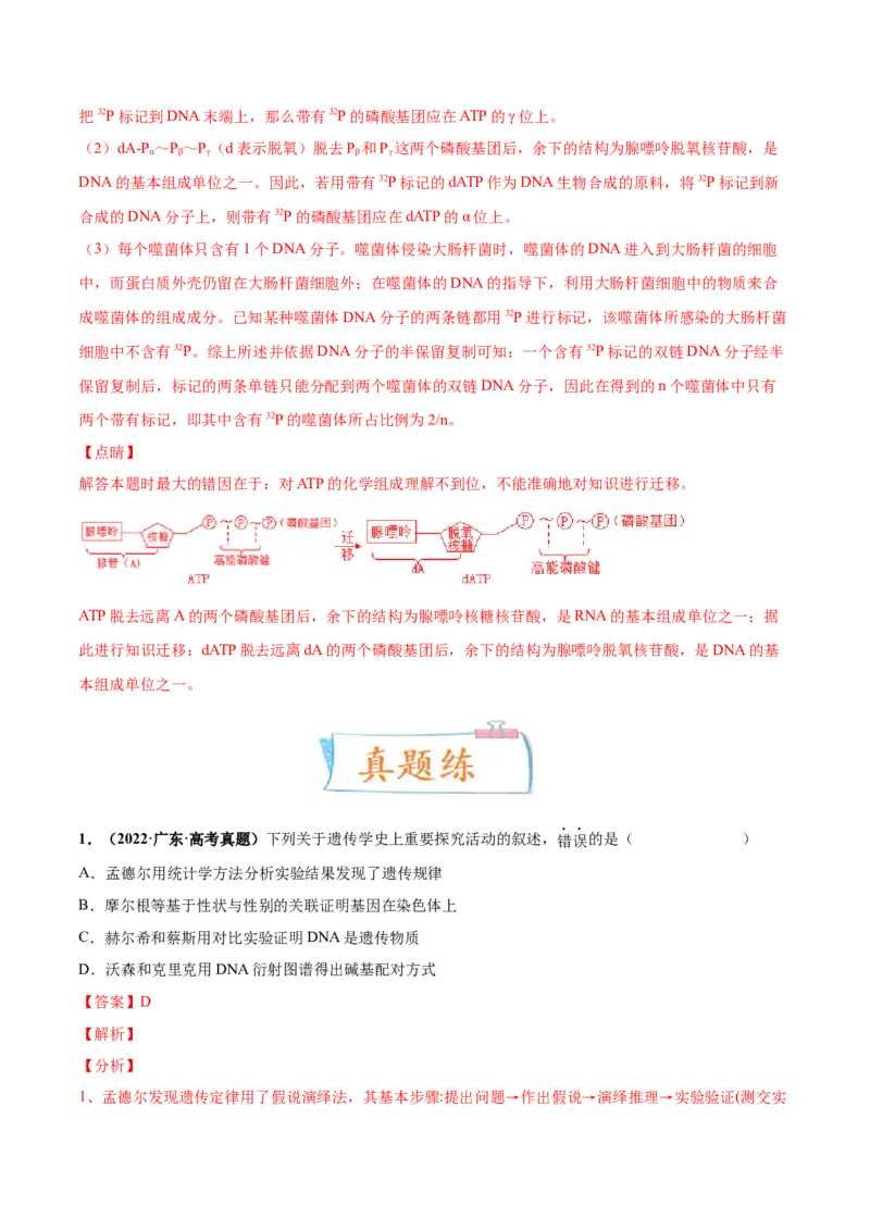 考向12基因的本质-备战2023年高考生物一轮复习考点微专题（全国通用）（解析版）(1)_通用版（老高考）复习资料_2023年复习资料_一轮复习