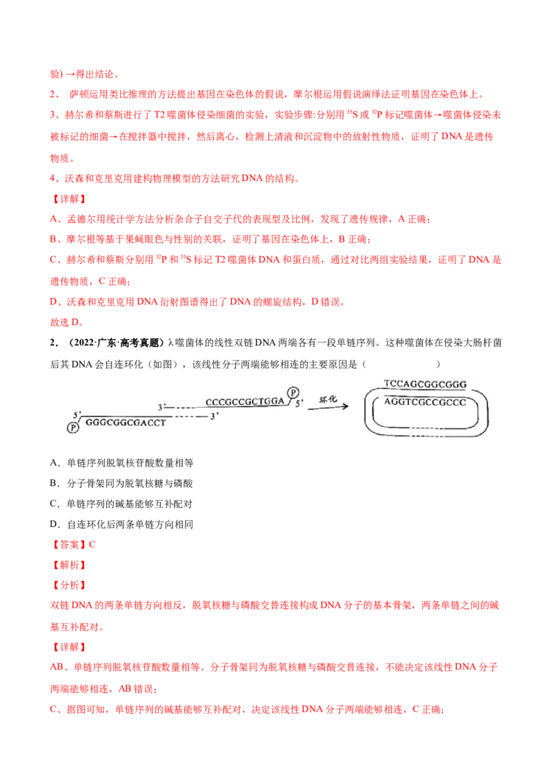 考向12基因的本质-备战2023年高考生物一轮复习考点微专题（全国通用）（解析版）(1)_通用版（老高考）复习资料_2023年复习资料_一轮复习