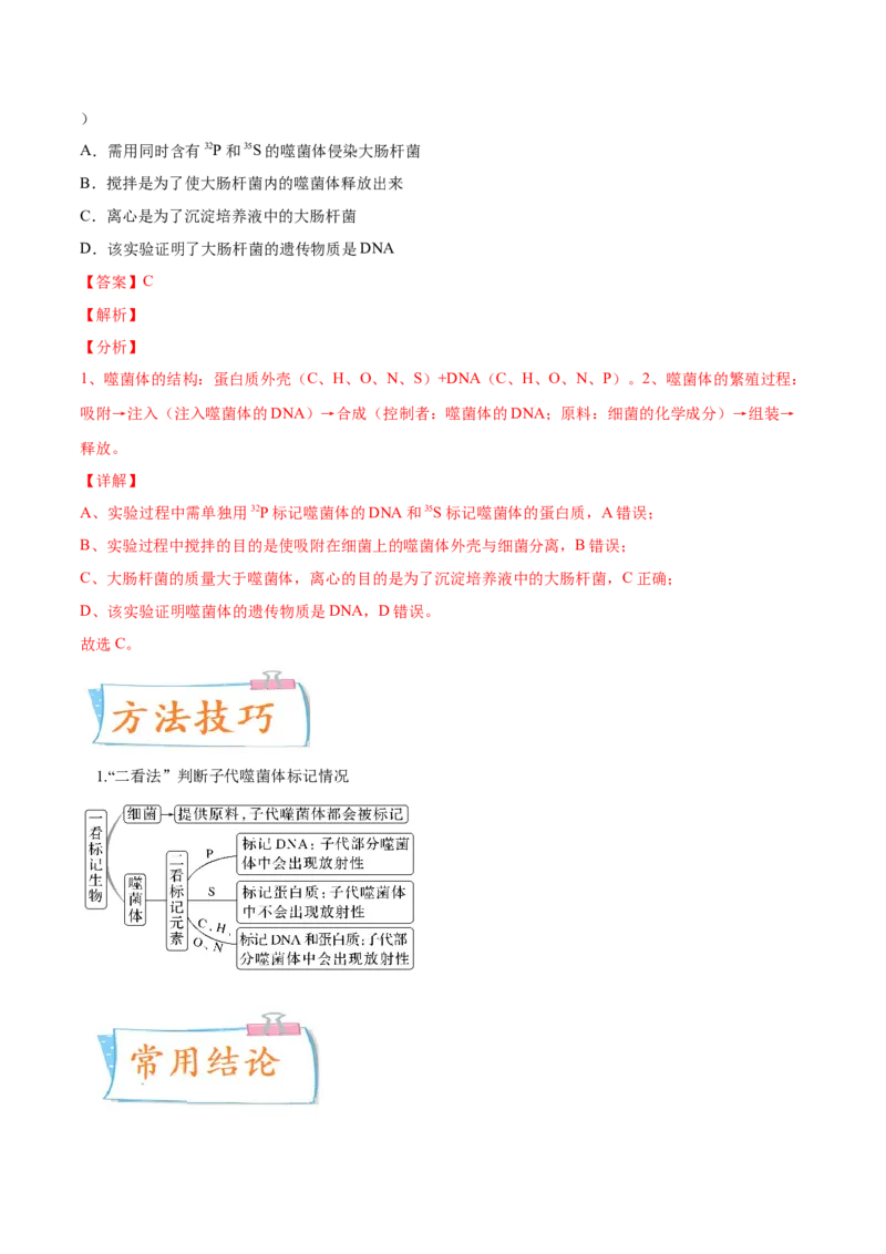 考向12基因的本质-备战2023年高考生物一轮复习考点微专题（全国通用）（解析版）(1)_通用版（老高考）复习资料_2023年复习资料_一轮复习