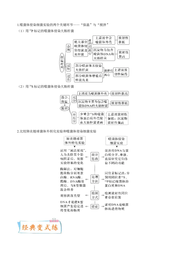 考向12基因的本质-备战2023年高考生物一轮复习考点微专题（全国通用）（解析版）(1)_通用版（老高考）复习资料_2023年复习资料_一轮复习
