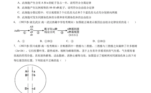第17.2讲基因的自由组合定律相关题型（练习）（原卷版）_新高考复习资料_2024年新高考复习资料_一轮复习资料_完2024年高考生物一轮复习讲练测(课件+讲义+练习)（新高考）_讲义+练习