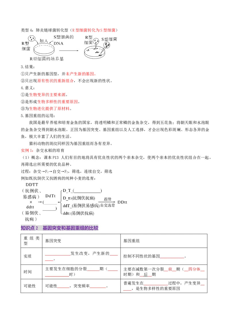 第22讲生物的变异（第一课时，基因突变和基因重组）（讲义）（原卷版）_2025年新高考资料_一轮复习_2025年高考生物一轮复习讲练测（新教材新高考）