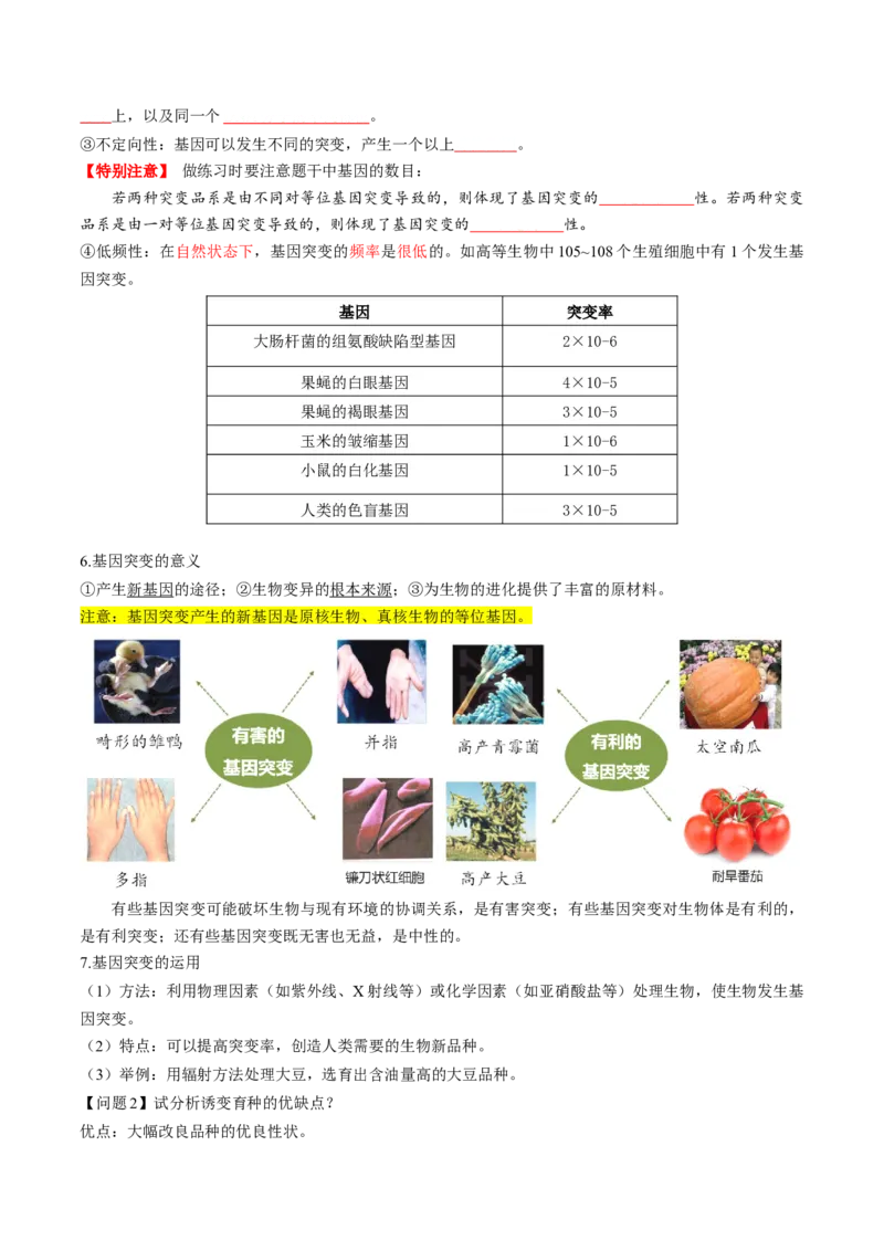 第22讲生物的变异（第一课时，基因突变和基因重组）（讲义）（原卷版）_2025年新高考资料_一轮复习_2025年高考生物一轮复习讲练测（新教材新高考）
