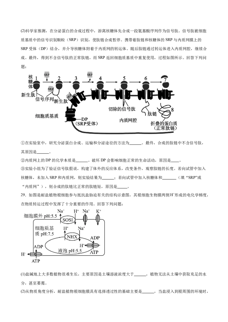 吉林省长春市第二实验中学2025-2026学年高一上学期11月期中考试生物Word版含答案_2025年12月高一试卷_251213吉林省长春市第二实验中学2025-2026学年高一上学期11月期中考试（全）