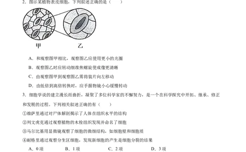 吉林省长春市第二实验中学2025-2026学年高一上学期11月期中考试生物Word版含答案_2025年12月高一试卷_251213吉林省长春市第二实验中学2025-2026学年高一上学期11月期中考试（全）