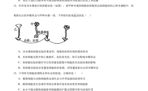 吉林省长春市第二实验中学2025-2026学年高一上学期11月期中考试生物Word版含答案_2025年12月高一试卷_251213吉林省长春市第二实验中学2025-2026学年高一上学期11月期中考试（全）