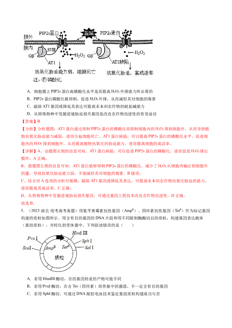 第43讲基因工程（练习）（解析版）_新高考复习资料_2024年新高考复习资料_一轮复习资料_完2024年高考生物一轮复习讲练测(课件+讲义+练习)（新高考）_讲义+练习