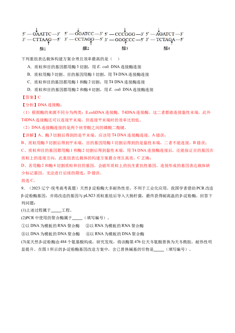 第43讲基因工程（练习）（解析版）_新高考复习资料_2024年新高考复习资料_一轮复习资料_完2024年高考生物一轮复习讲练测(课件+讲义+练习)（新高考）_讲义+练习