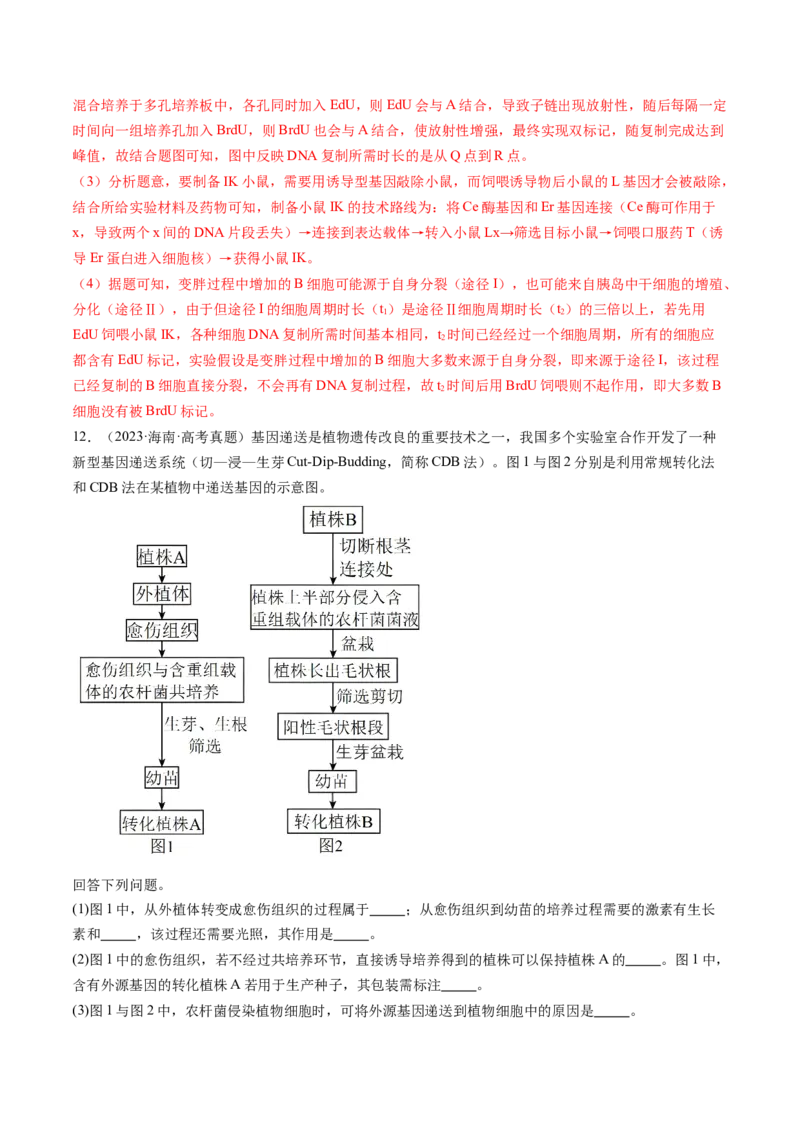 第43讲基因工程（练习）（解析版）_新高考复习资料_2024年新高考复习资料_一轮复习资料_完2024年高考生物一轮复习讲练测(课件+讲义+练习)（新高考）_讲义+练习