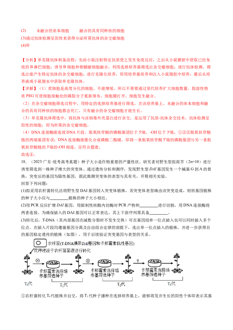第43讲基因工程（练习）（解析版）_新高考复习资料_2024年新高考复习资料_一轮复习资料_完2024年高考生物一轮复习讲练测(课件+讲义+练习)（新高考）_讲义+练习