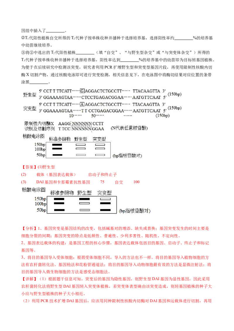 第43讲基因工程（练习）（解析版）_新高考复习资料_2024年新高考复习资料_一轮复习资料_完2024年高考生物一轮复习讲练测(课件+讲义+练习)（新高考）_讲义+练习