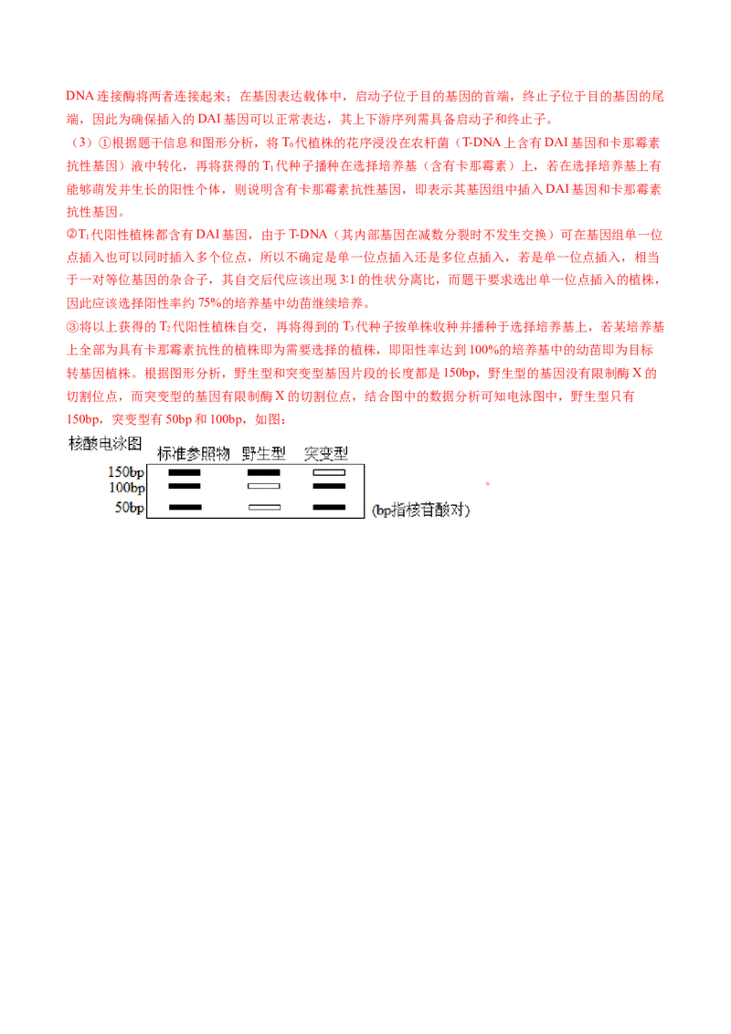 第43讲基因工程（练习）（解析版）_新高考复习资料_2024年新高考复习资料_一轮复习资料_完2024年高考生物一轮复习讲练测(课件+讲义+练习)（新高考）_讲义+练习