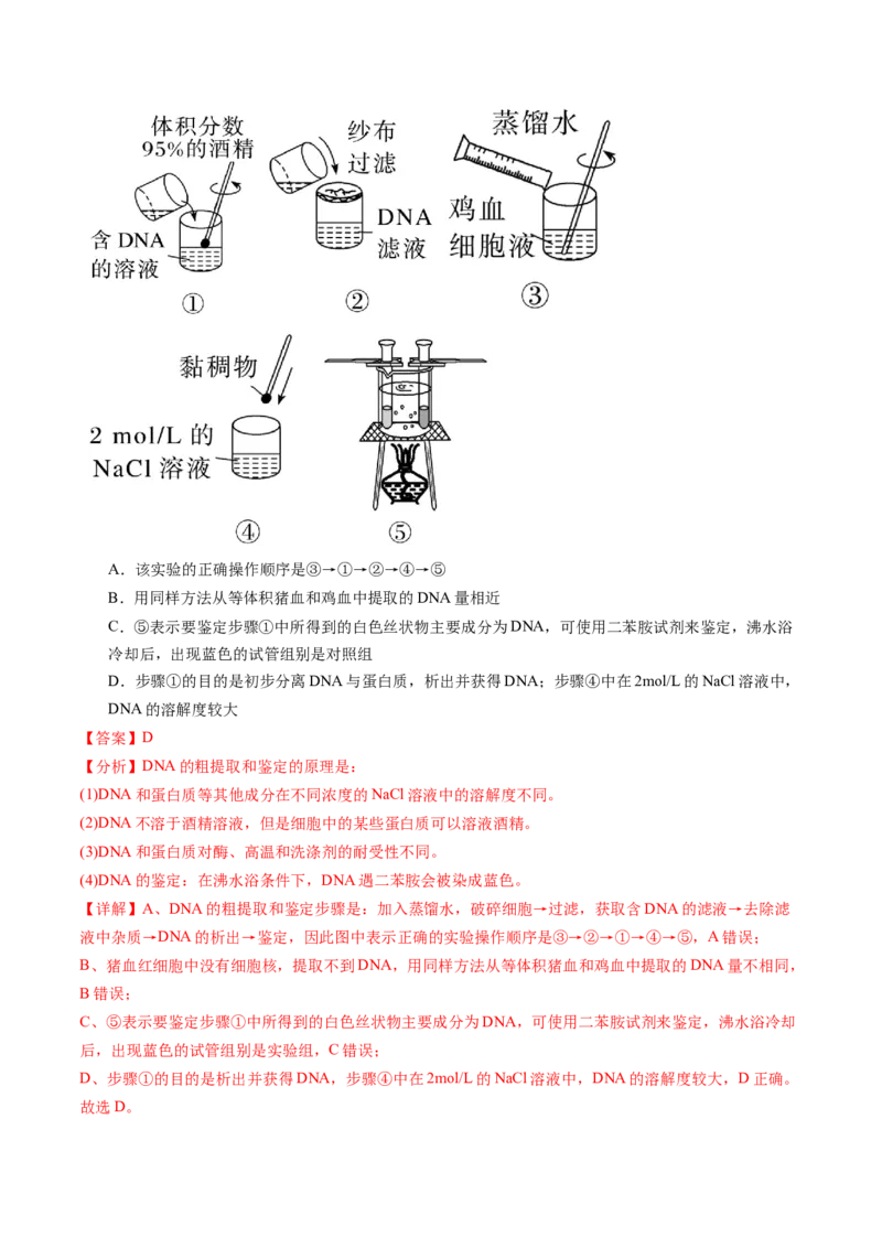 第43讲基因工程（练习）（解析版）_新高考复习资料_2024年新高考复习资料_一轮复习资料_完2024年高考生物一轮复习讲练测(课件+讲义+练习)（新高考）_讲义+练习