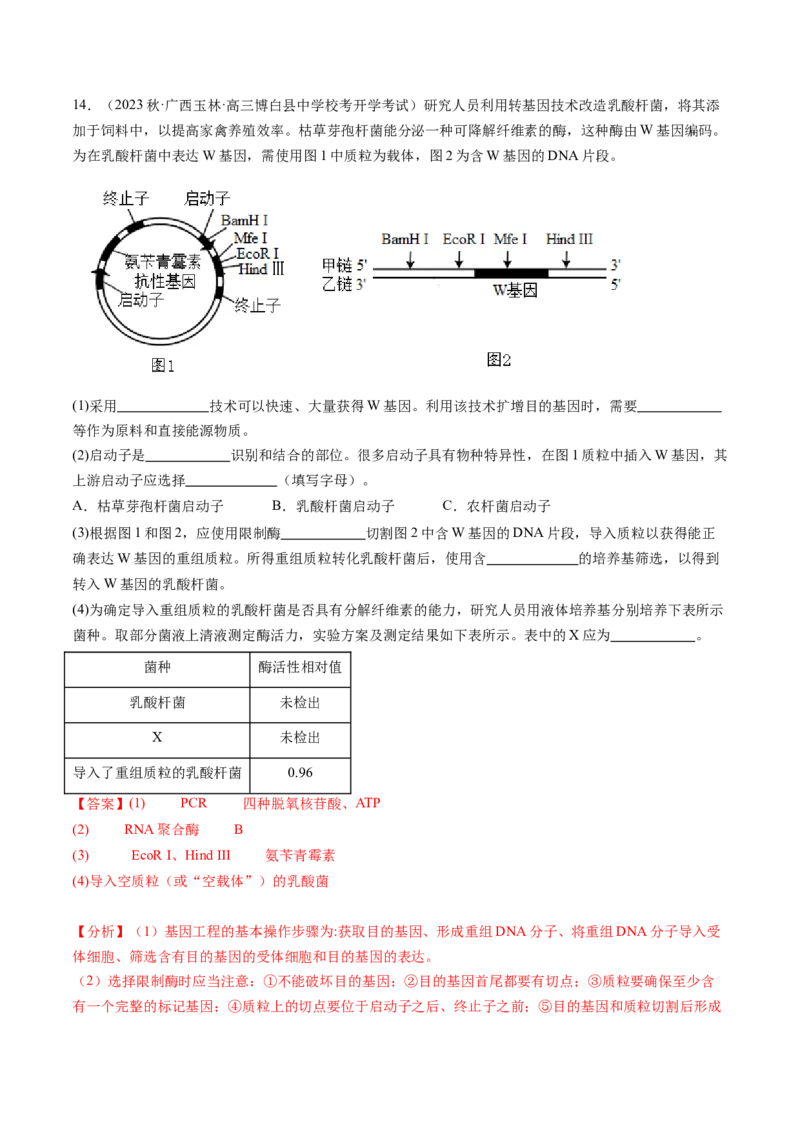 第43讲基因工程（练习）（解析版）_新高考复习资料_2024年新高考复习资料_一轮复习资料_完2024年高考生物一轮复习讲练测(课件+讲义+练习)（新高考）_讲义+练习