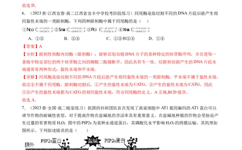 第43讲基因工程（练习）（解析版）_新高考复习资料_2024年新高考复习资料_一轮复习资料_完2024年高考生物一轮复习讲练测(课件+讲义+练习)（新高考）_讲义+练习