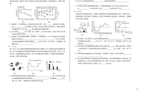 安徽省A10联盟2024-2025学年高一下学期3月阶段考生物试卷（B卷）（无答案）_2025年04月试卷_0405安徽省A10联盟2024-2025学年高一下学期3月阶段考试