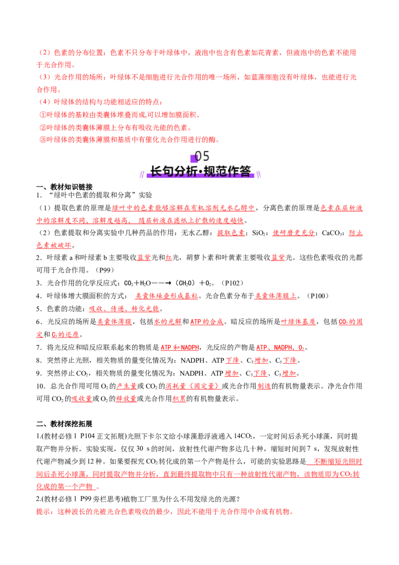 第10讲光合作用（第一课时）（讲义）（解析版）_2025年新高考资料_一轮复习_2025年高考生物一轮复习讲练测（新教材新高考）