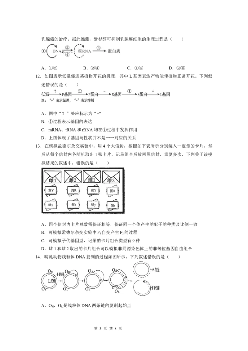 广东实验中学2024-2025学年下期中考试生物学_2025年05月试卷_0519广东实验中学2024-2025学年高一下学期期中考试_广东实验中学2024-2025学年高一下学期期中考试生物Word版含答案