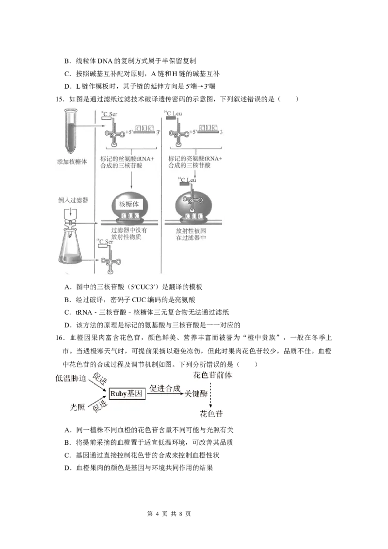 广东实验中学2024-2025学年下期中考试生物学_2025年05月试卷_0519广东实验中学2024-2025学年高一下学期期中考试_广东实验中学2024-2025学年高一下学期期中考试生物Word版含答案