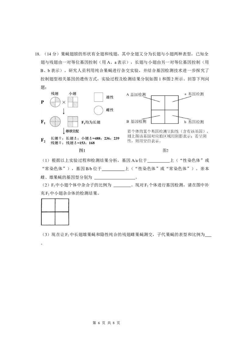 广东实验中学2024-2025学年下期中考试生物学_2025年05月试卷_0519广东实验中学2024-2025学年高一下学期期中考试_广东实验中学2024-2025学年高一下学期期中考试生物Word版含答案
