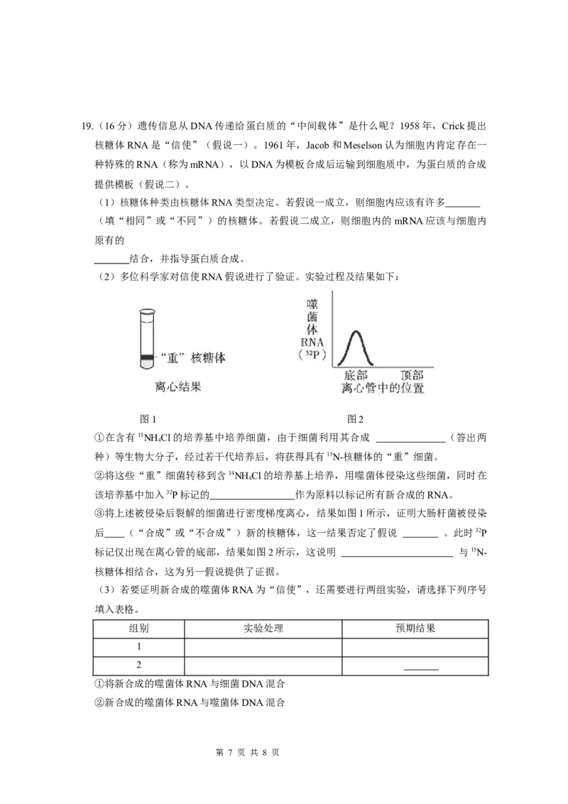 广东实验中学2024-2025学年下期中考试生物学_2025年05月试卷_0519广东实验中学2024-2025学年高一下学期期中考试_广东实验中学2024-2025学年高一下学期期中考试生物Word版含答案