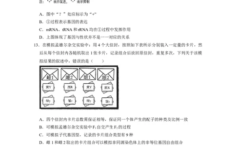 广东实验中学2024-2025学年下期中考试生物学_2025年05月试卷_0519广东实验中学2024-2025学年高一下学期期中考试_广东实验中学2024-2025学年高一下学期期中考试生物Word版含答案