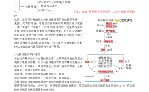 第41讲动物细胞工程（讲义）（教师版）_新高考复习资料_2024年新高考复习资料_一轮复习资料_完2024年高考生物一轮复习讲练测(课件+讲义+练习)（新高考）_讲义+练习