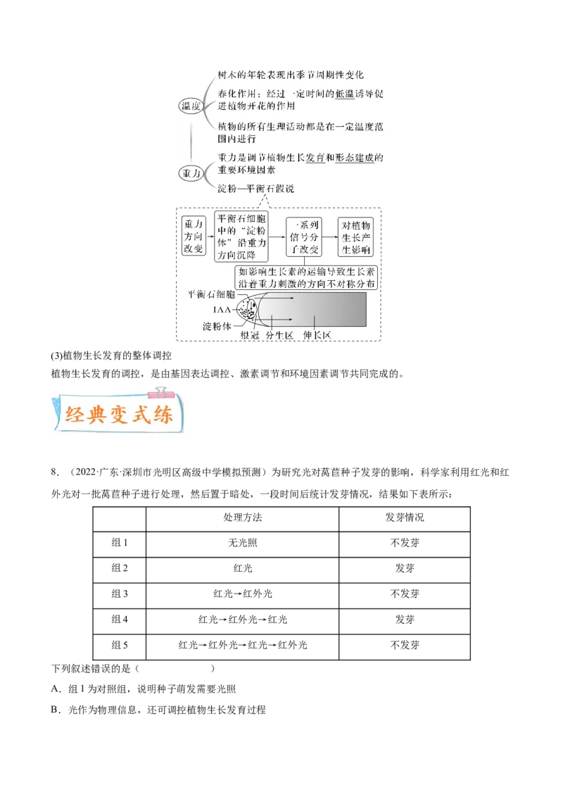考向20植物生命活动的调节-备战2023年高考生物一轮复习考点微专题（全国通用）（原卷版）(1)_通用版（老高考）复习资料_2023年复习资料_一轮复习