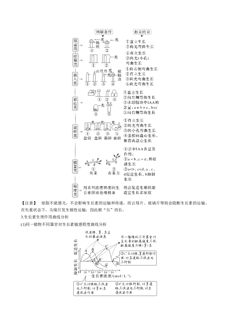 考向20植物生命活动的调节-备战2023年高考生物一轮复习考点微专题（全国通用）（原卷版）(1)_通用版（老高考）复习资料_2023年复习资料_一轮复习