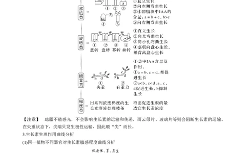 考向20植物生命活动的调节-备战2023年高考生物一轮复习考点微专题（全国通用）（原卷版）(1)_通用版（老高考）复习资料_2023年复习资料_一轮复习