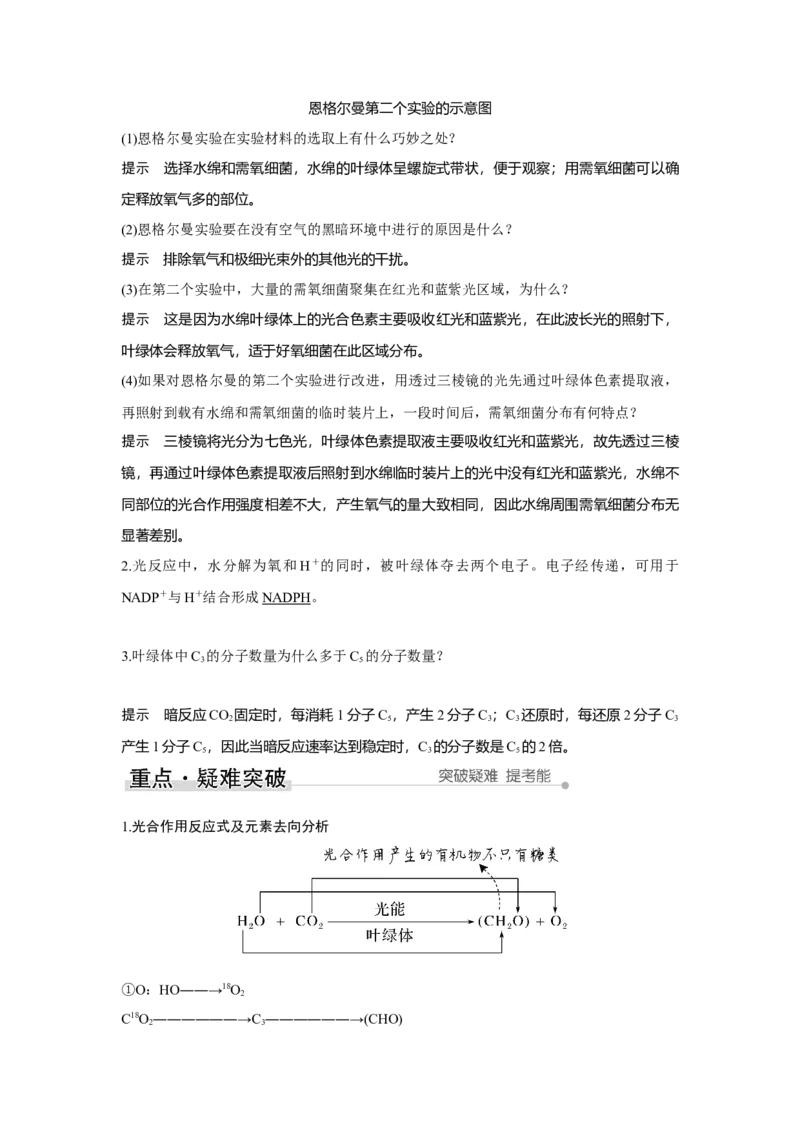 第9讲　光合作用与能量转化_新高考复习资料_2023年新高考复习资料_一轮复习_2023年新高考大一轮复习讲义_2023年高考生物一轮复习讲义（新人教新高考）_赠补充习题