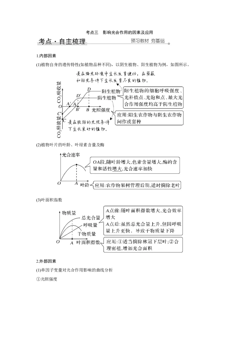 第9讲　光合作用与能量转化_新高考复习资料_2023年新高考复习资料_一轮复习_2023年新高考大一轮复习讲义_2023年高考生物一轮复习讲义（新人教新高考）_赠补充习题