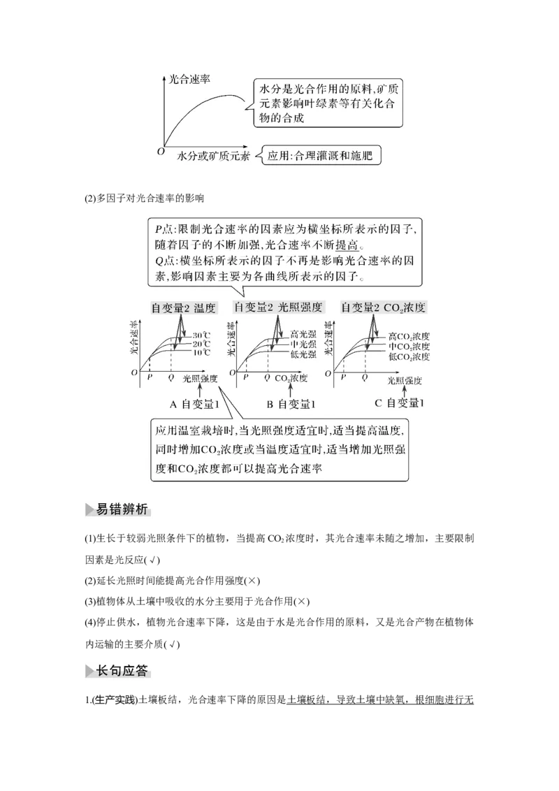 第9讲　光合作用与能量转化_新高考复习资料_2023年新高考复习资料_一轮复习_2023年新高考大一轮复习讲义_2023年高考生物一轮复习讲义（新人教新高考）_赠补充习题