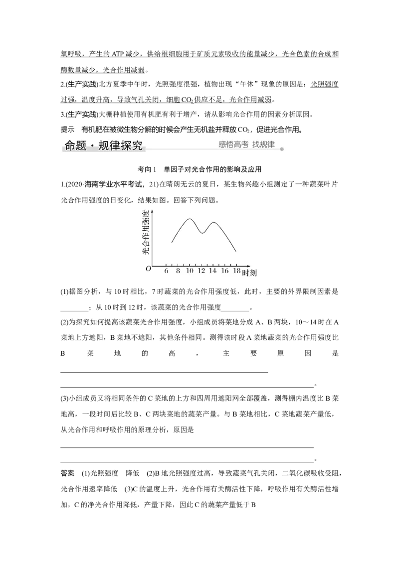 第9讲　光合作用与能量转化_新高考复习资料_2023年新高考复习资料_一轮复习_2023年新高考大一轮复习讲义_2023年高考生物一轮复习讲义（新人教新高考）_赠补充习题