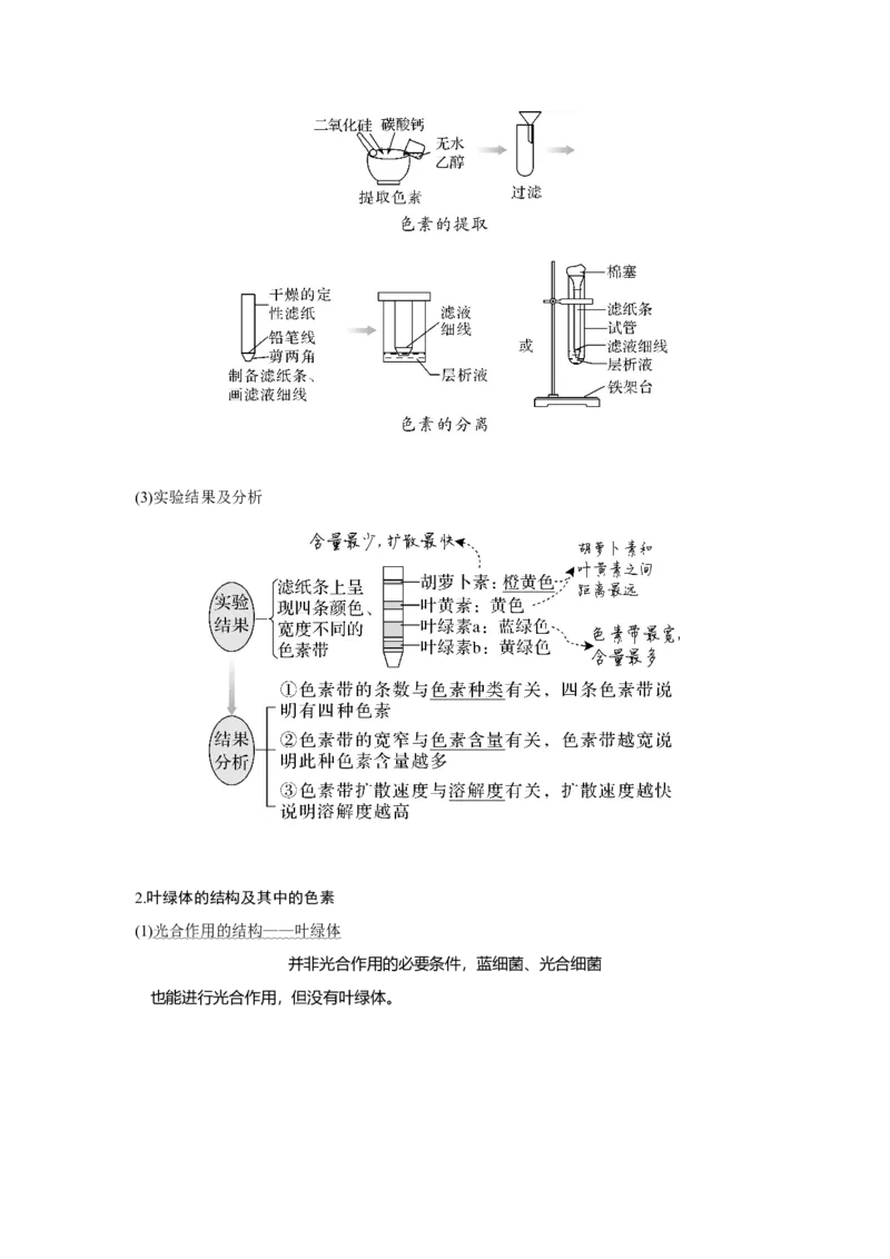 第9讲　光合作用与能量转化_新高考复习资料_2023年新高考复习资料_一轮复习_2023年新高考大一轮复习讲义_2023年高考生物一轮复习讲义（新人教新高考）_赠补充习题
