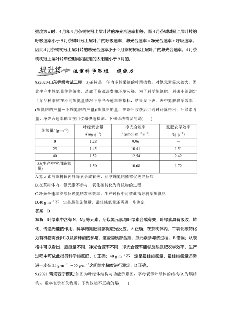 第9讲　光合作用与能量转化_新高考复习资料_2023年新高考复习资料_一轮复习_2023年新高考大一轮复习讲义_2023年高考生物一轮复习讲义（新人教新高考）_赠补充习题