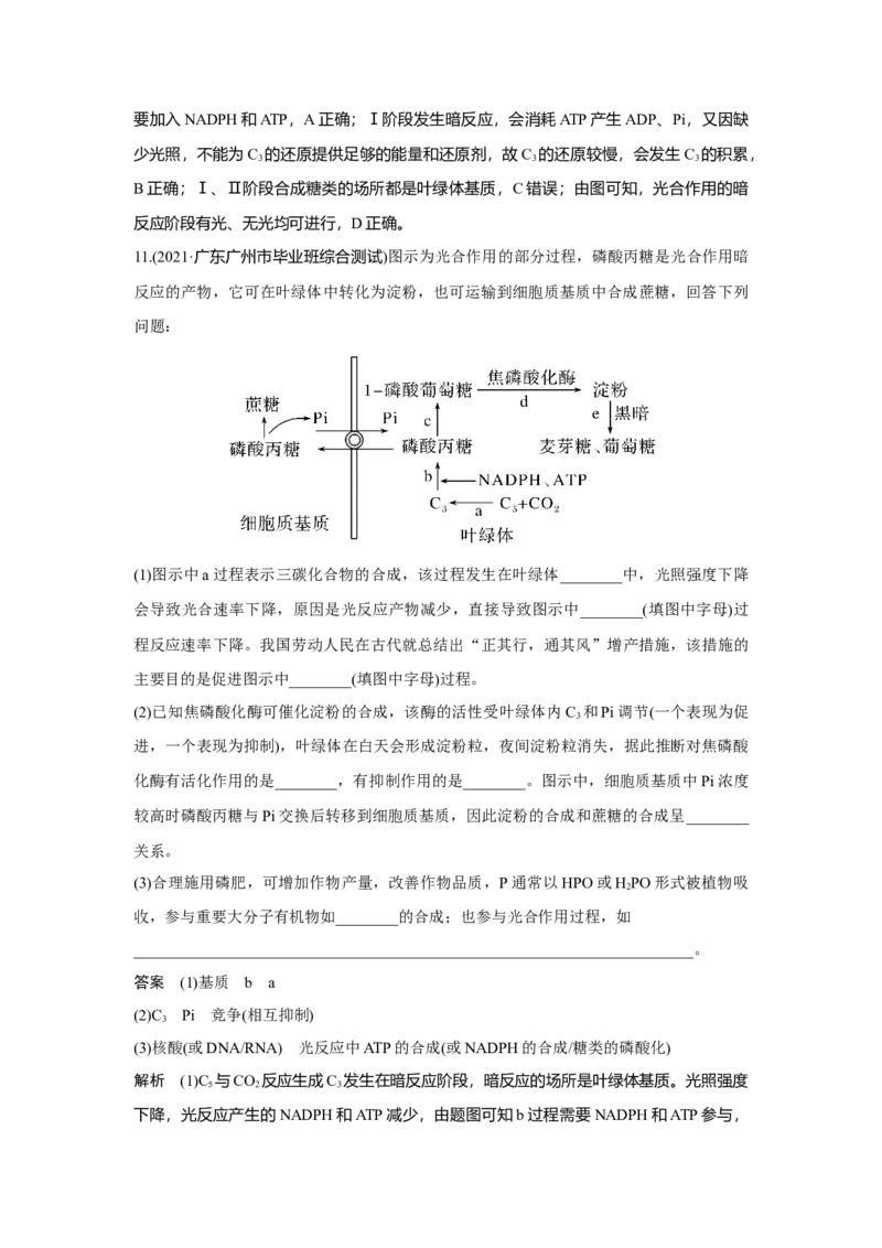第9讲　光合作用与能量转化_新高考复习资料_2023年新高考复习资料_一轮复习_2023年新高考大一轮复习讲义_2023年高考生物一轮复习讲义（新人教新高考）_赠补充习题
