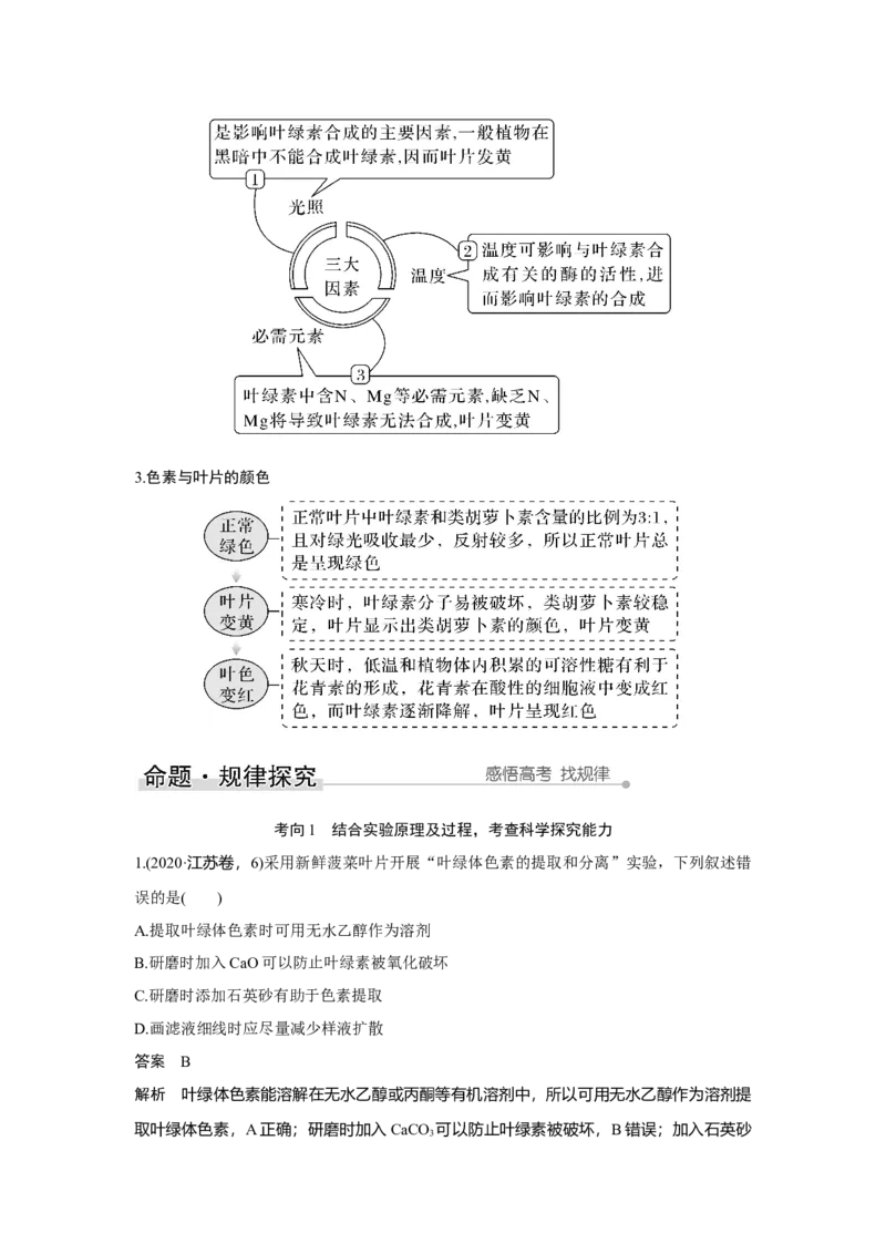 第9讲　光合作用与能量转化_新高考复习资料_2023年新高考复习资料_一轮复习_2023年新高考大一轮复习讲义_2023年高考生物一轮复习讲义（新人教新高考）_赠补充习题