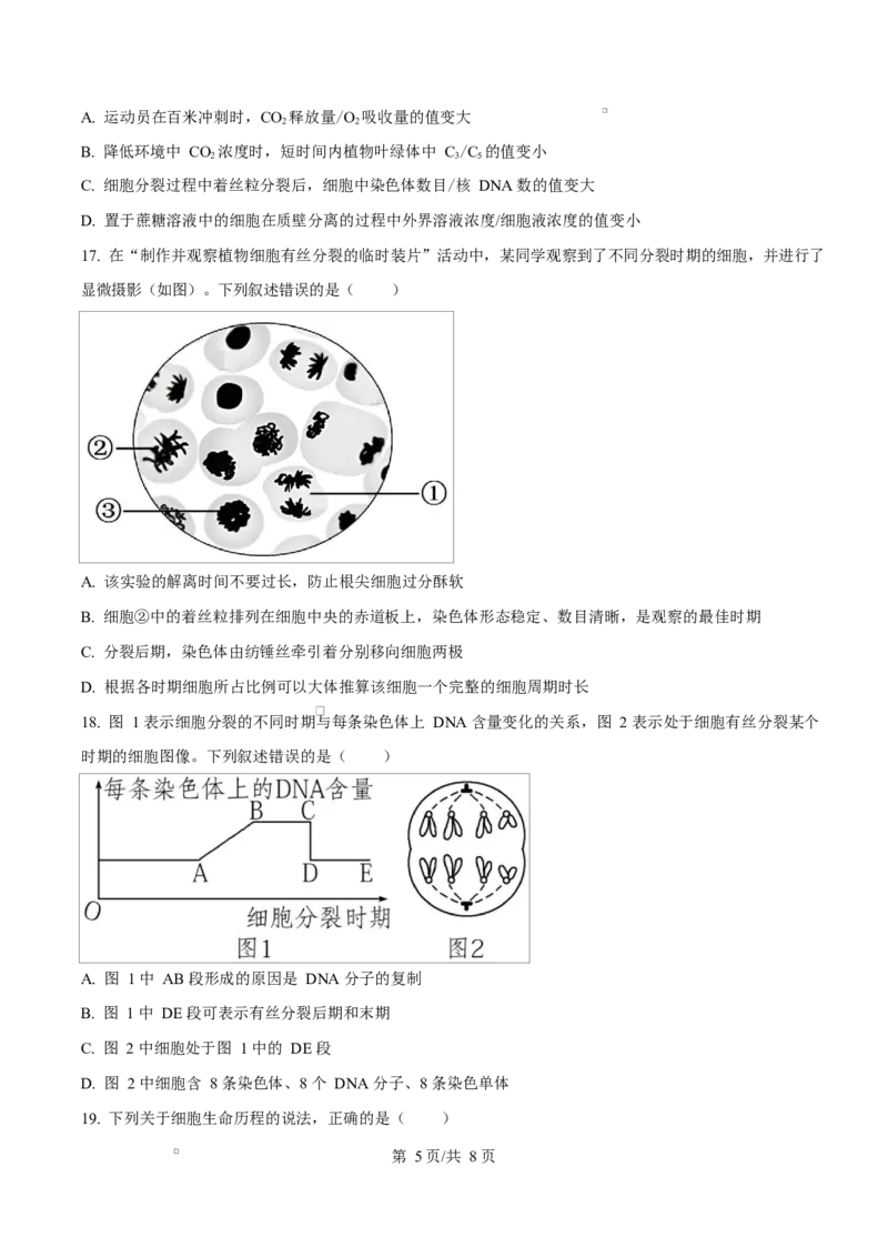 湖北省荆州中学2024-2025学年高一下学期2月月考生物试卷（原卷版）_2025年03月试卷_0313湖北省荆州中学2024-2025学年高一下学期2月月考